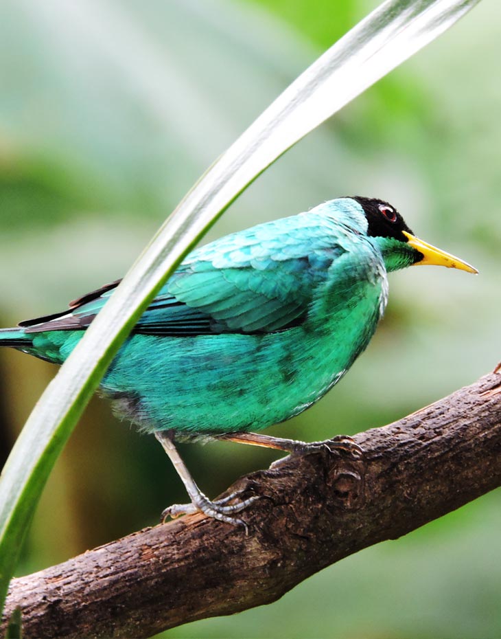 Parque Aventura San Luis