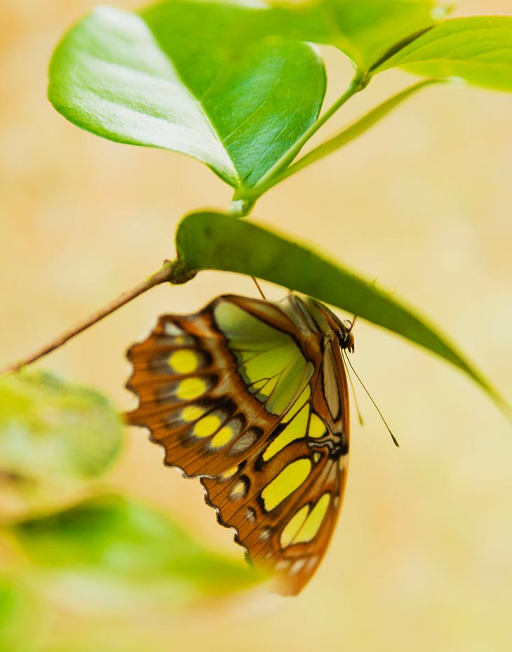 Parque Aventura San Luis