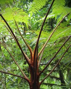 Parque Aventura San Luis