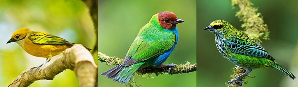 bird-observatory-slider-03