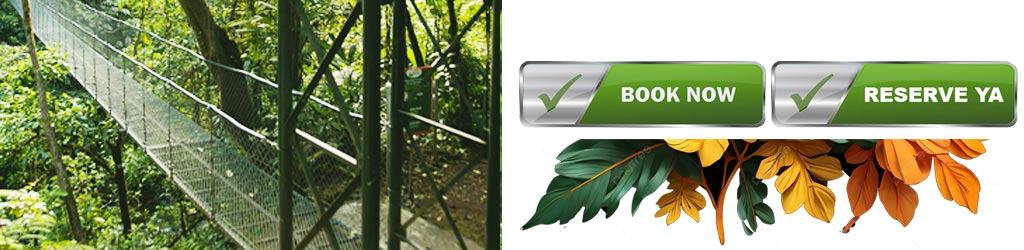 hanging-bridges-book-now