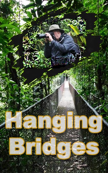 hanging-bridges-costa-rica