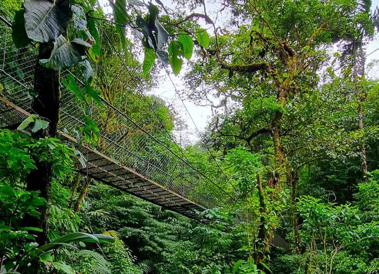 hanging-bridges-cr01