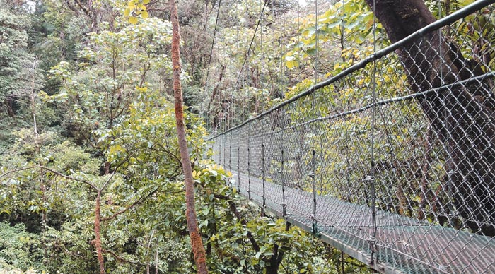 hanging bridges costa rica